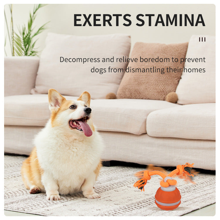 Interactive Dog Chew Toy with Rope - Durable Treat Dispensing Ball for Play & Dental Health(blue)