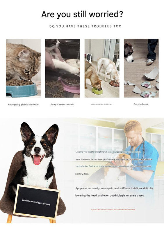 Elevated Pet Feeding Bowl with Stainless Steel Inner - Promotes Healthy Digestion & Reduces Neck Strain(White)