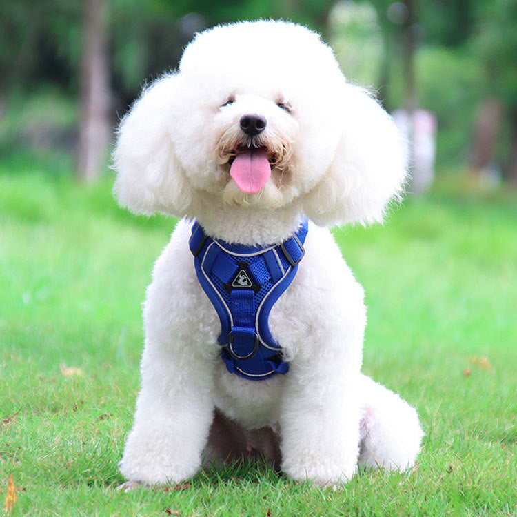 Blue Reflective Mesh Dog Harness and Leash Set - Adjustable No-Pull Vest - S