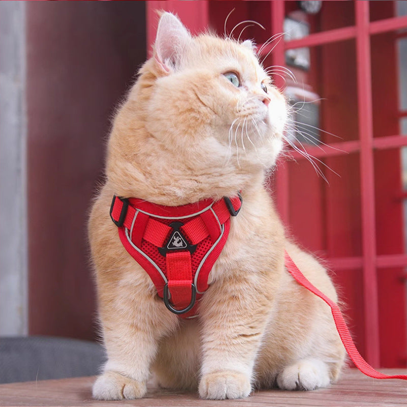 Red Reflective Mesh Dog Harness and Leash Set - Adjustable No-Pull Vest - L