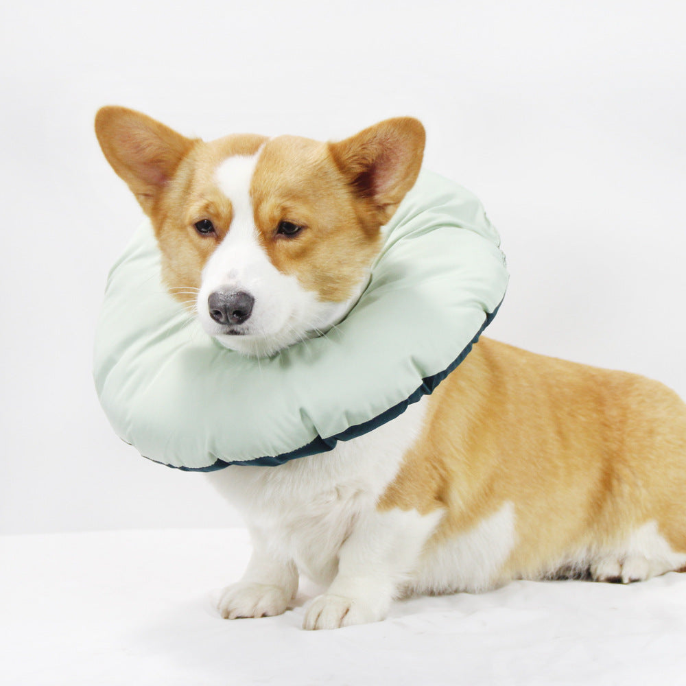 Green Adjustable Soft Elizabethan Collar for Pets - Comfortable Recovery Aid - XXL