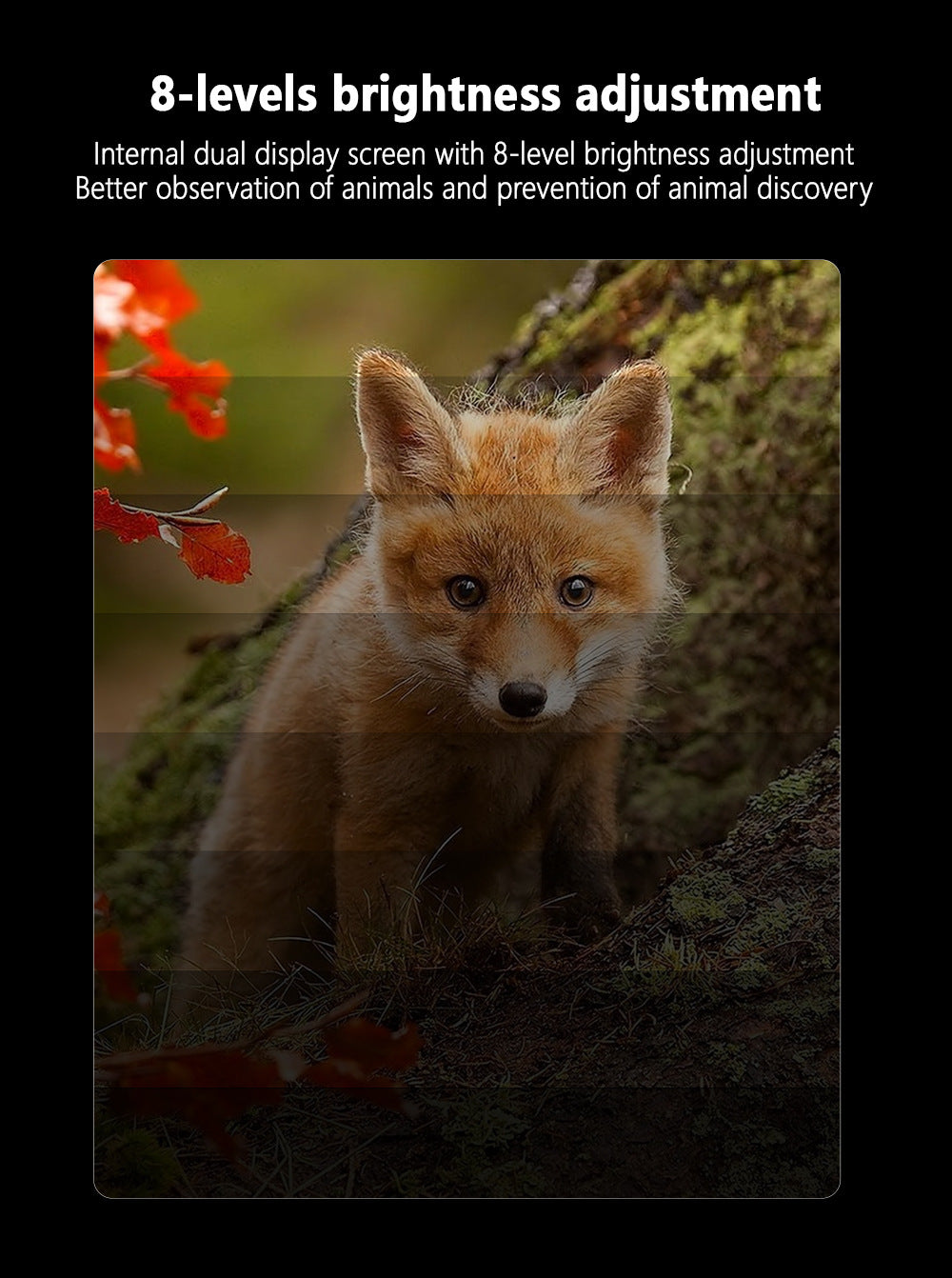 Black Professional HD Digital Night Vision Binoculars - 6X Optical Zoom, IR Illumination, Record 2.5K Video & 48MP Photos