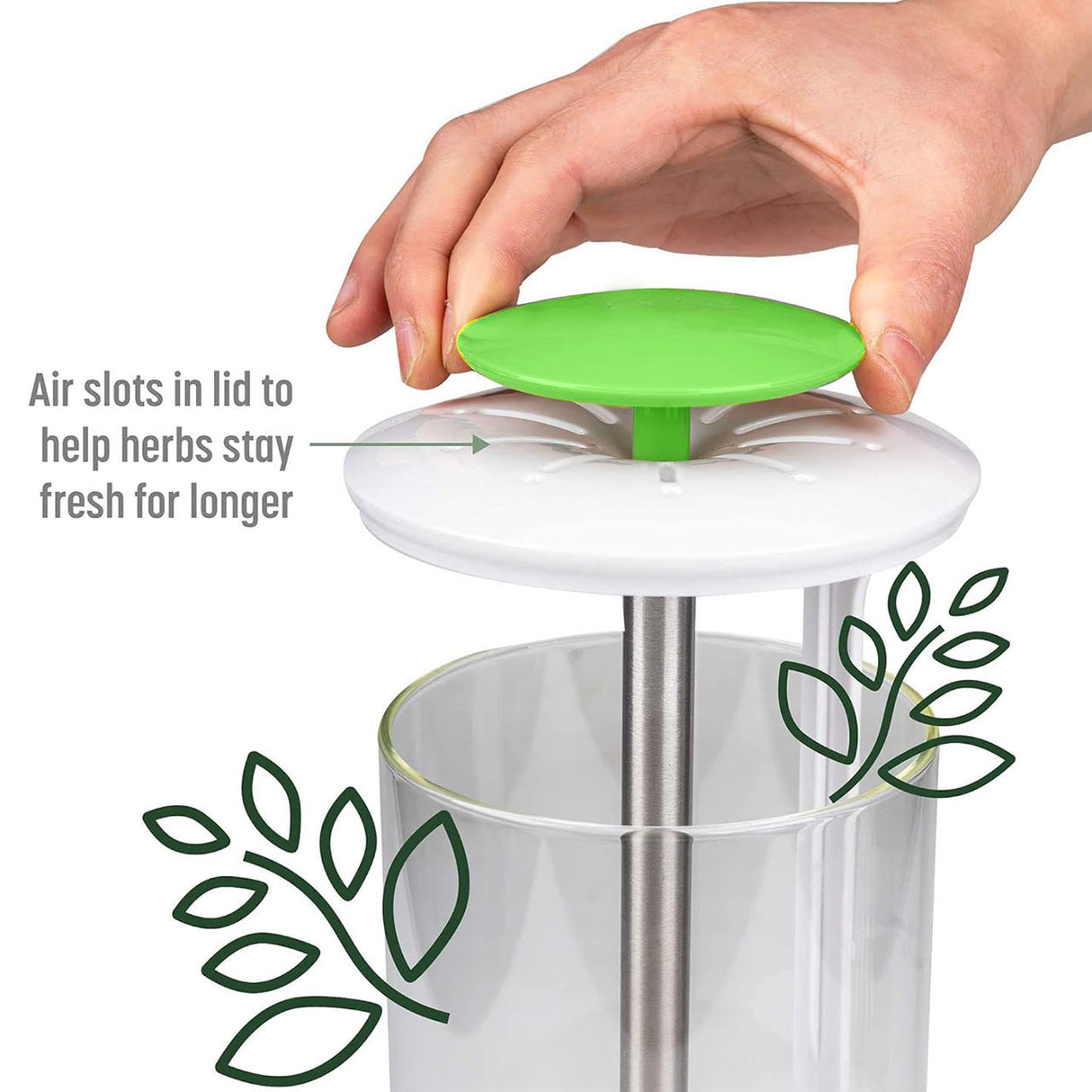 Green Premium Herb Savor & Freshness Keeper - Extends Life of Herbs, Cilantro, Parsley & More