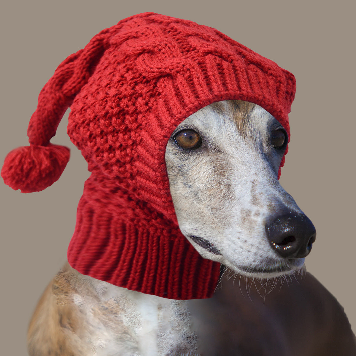 Size M Red Whimsical Knit Dog Hat with Pom-Pom - Cozy Winter Pet Beanie & Snood