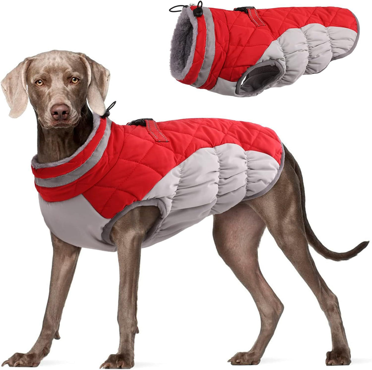 S Red Grey Premium Winter Puffer Dog Coat - Windproof & Fleece-Lined Jacket for Cold Weather