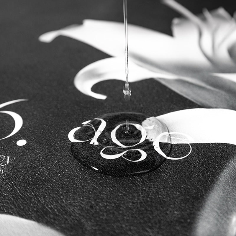 Elegant Floral Print Absorbent Floor Mat - Quick Dry, Non-Slip, Easy Clean Bathroom & Entryway Rug(Black and White)