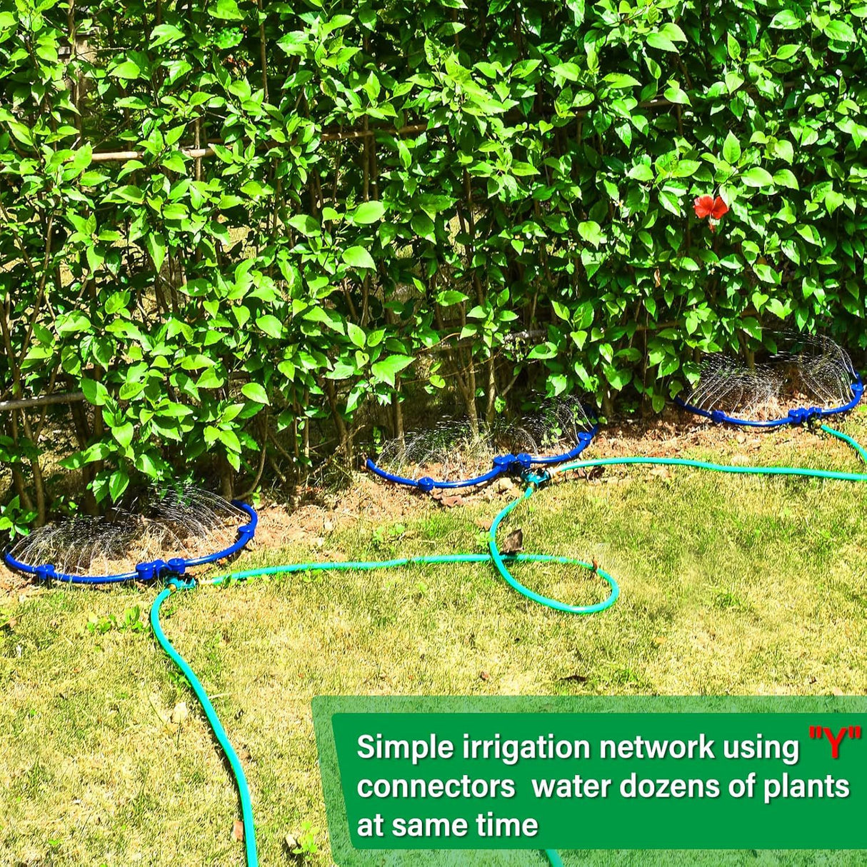 Adjustable Tree Ring Sprinkler for Deep Root Irrigation - 13 to 37 Inch Expandable Garden Watering Tool for Australian Trees and Orchards