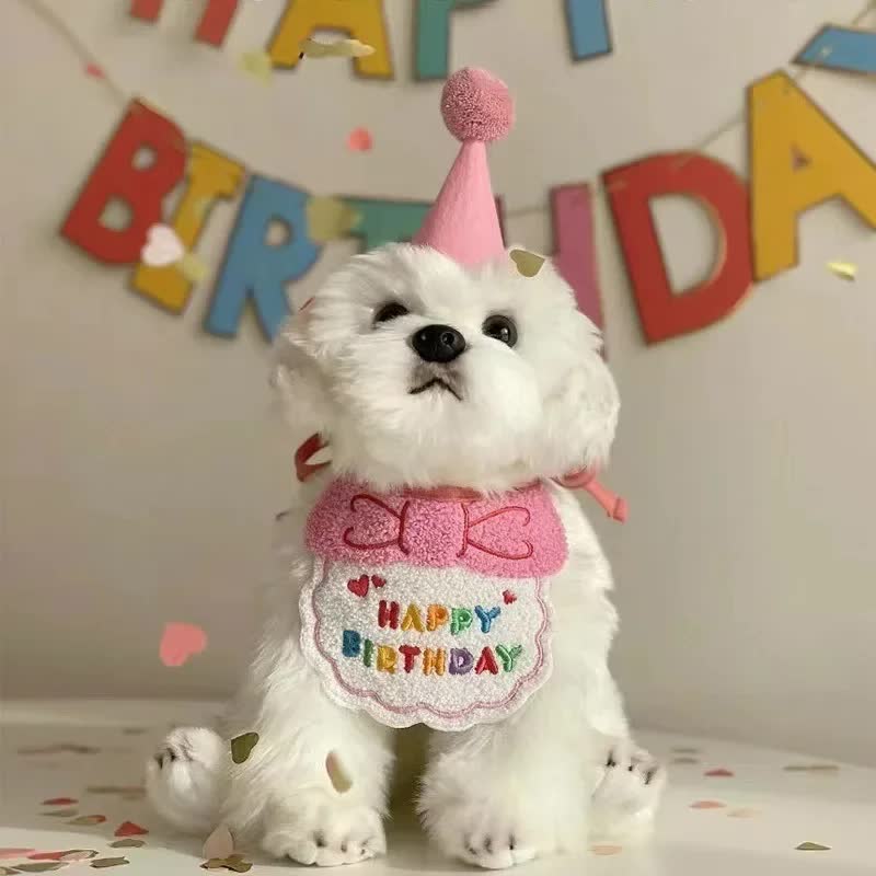 4-Pack Adorable Pet Dog Cat Birthday Party Hat & Bib Set(Pink & Light Blue) - Embroidered Bandana Bib & Felt Party Hat, Adjustable Tie-On Dress-Up Accessories