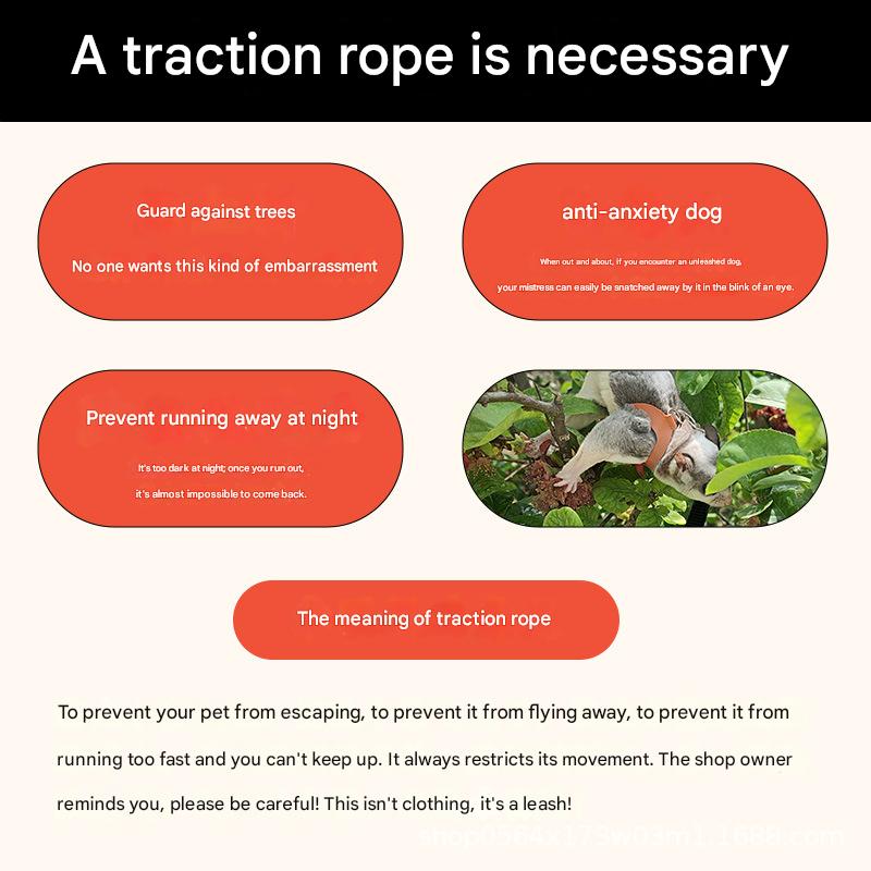 2-Pack Black Small Mammal Harness Set – 6 Pcs (S/M/L ×2) + 2×1.5m Leashes for Secure Outdoor Handling
