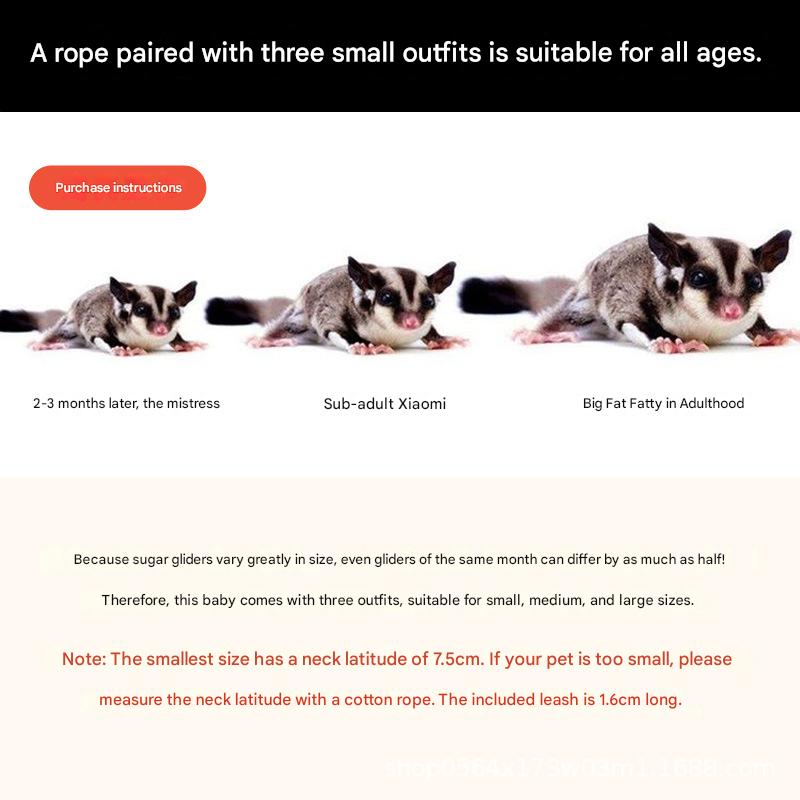 2-Pack Black Small Mammal Harness Set – 6 Pcs (S/M/L ×2) + 2×1.5m Leashes for Secure Outdoor Handling