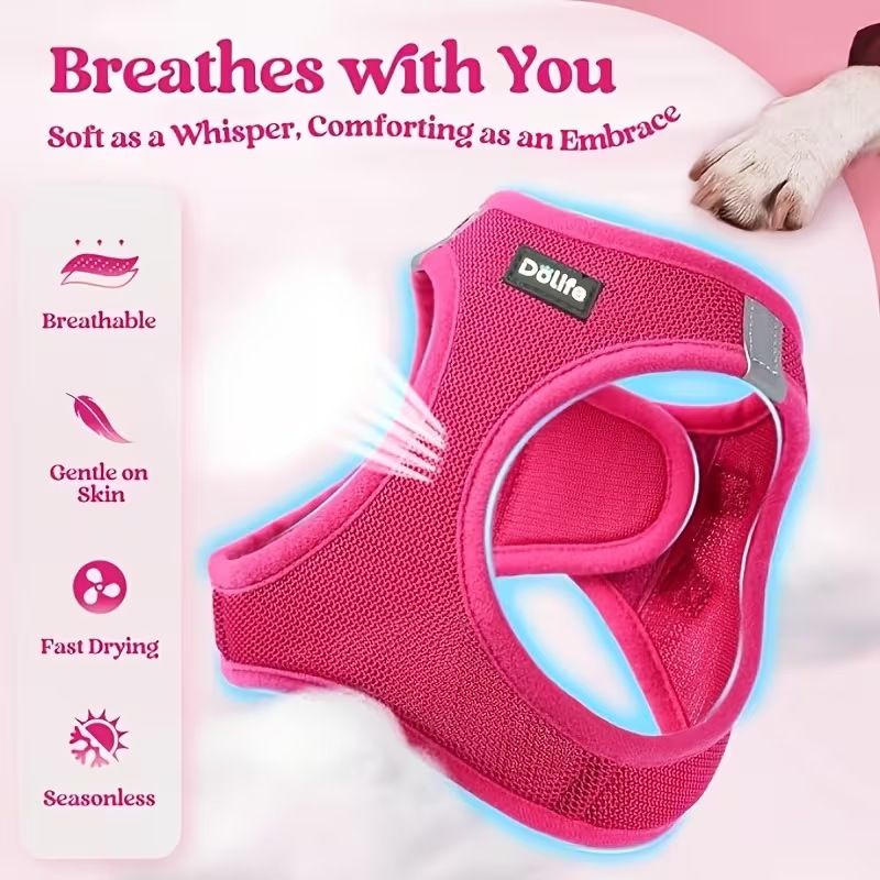 Orange Breathable Dog Harness and Leash Set - Adjustable Reflective Pet Vest with Swivel Clip(Size: L)