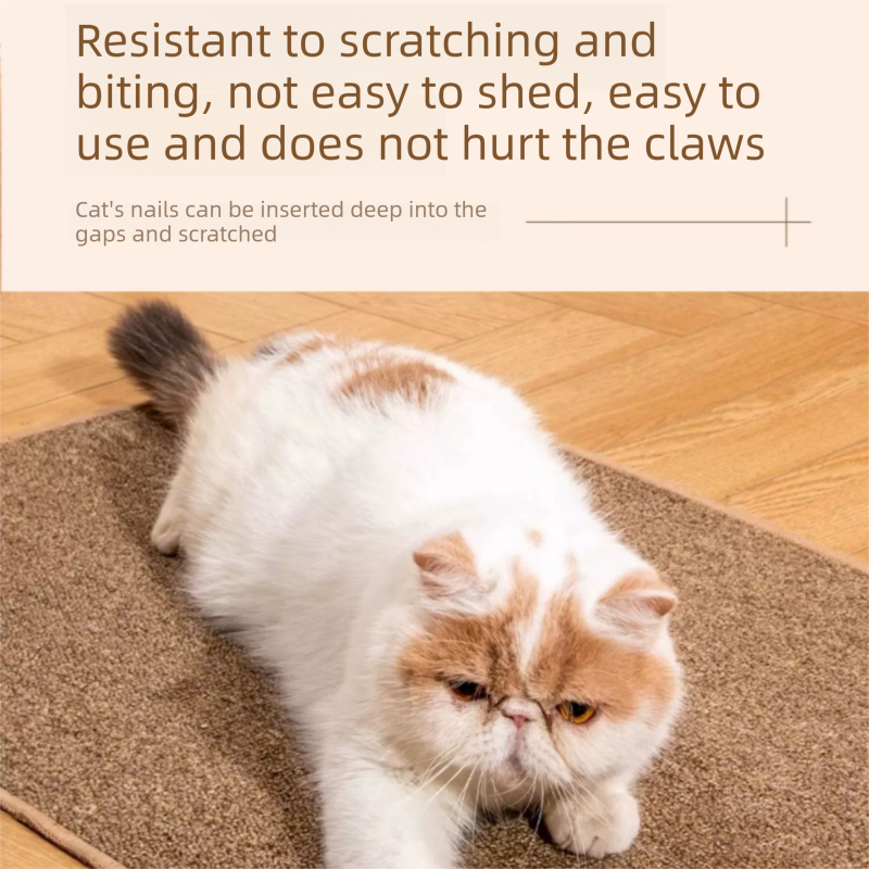 Grey M size 50*80cm Soft Cat Scratching Mat & Lounge Bed – Durable Furniture Protector Rug, Washable Scratch Pad for Cats and Small Pets