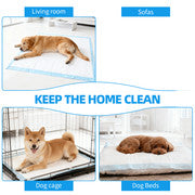 400pcs Dog Absorbent Training Pad 60 x 60 cm