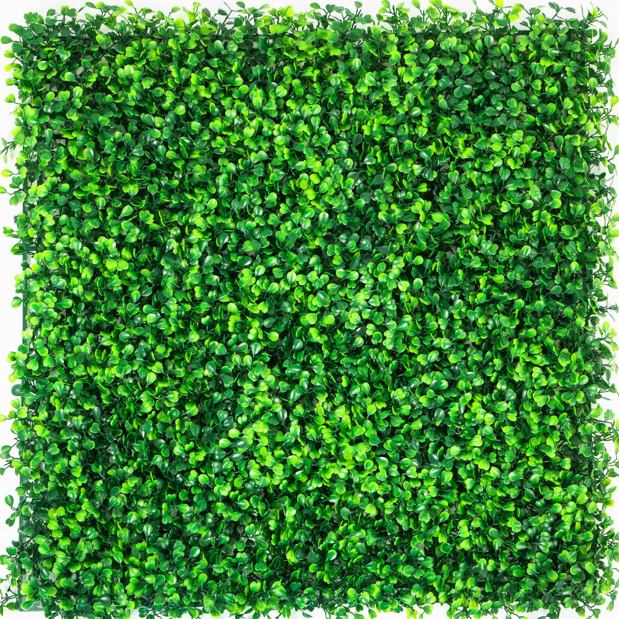 VEVOR Artificial Boxwood Panels, 12 PCS 20"x20" Boxwood Hedge Wall Panels, PE Artificial Grass Backdrop Wall 1.6", Privacy Hedge Screen for Decoration