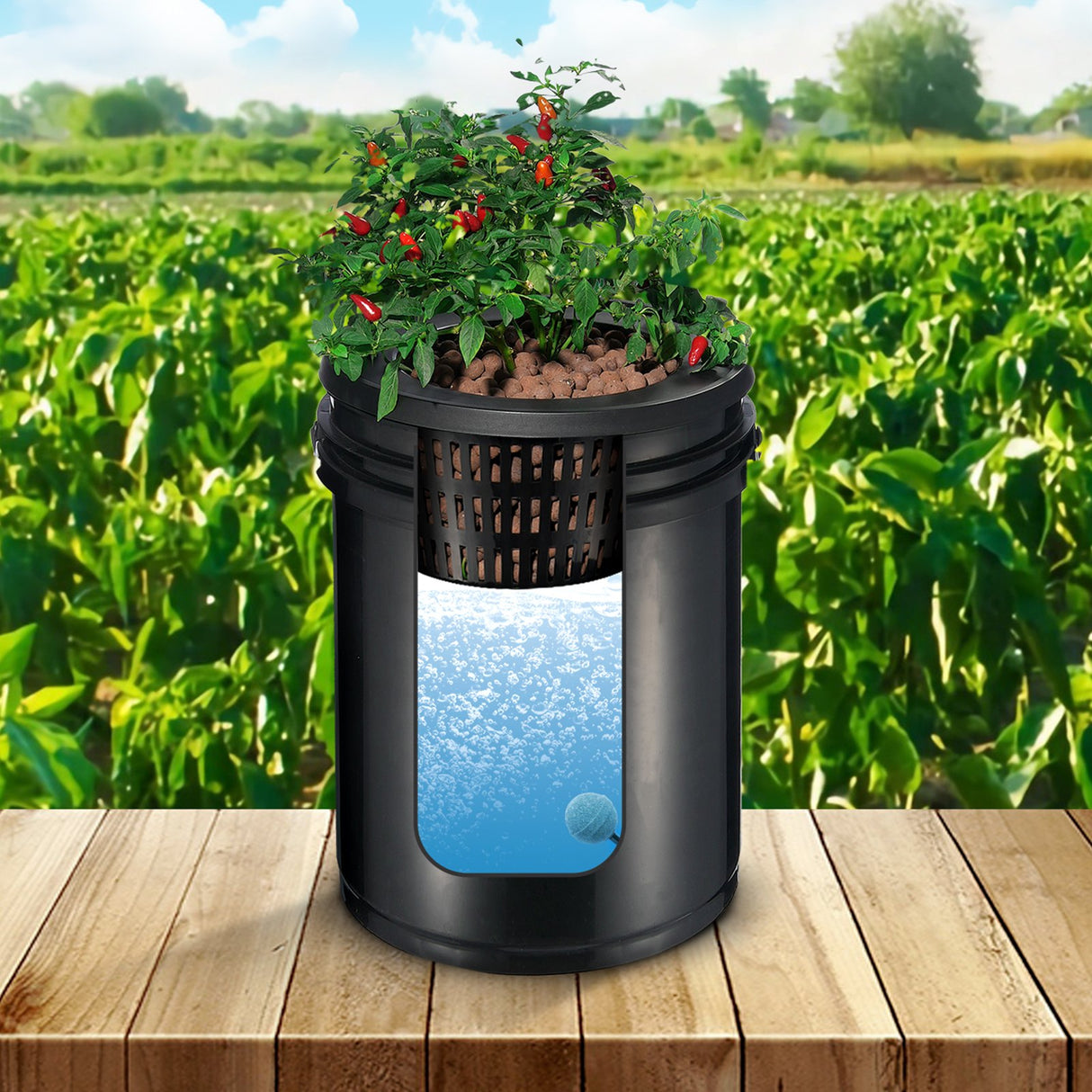 RDWC Hydroponics Grow System, Hydroponic Growing Kit with Top Drip, Recirculating Deep Water Culture 4 Buckles and 1 Reservoir, with Air Pump and Water Level Device for Leafy Vegetables