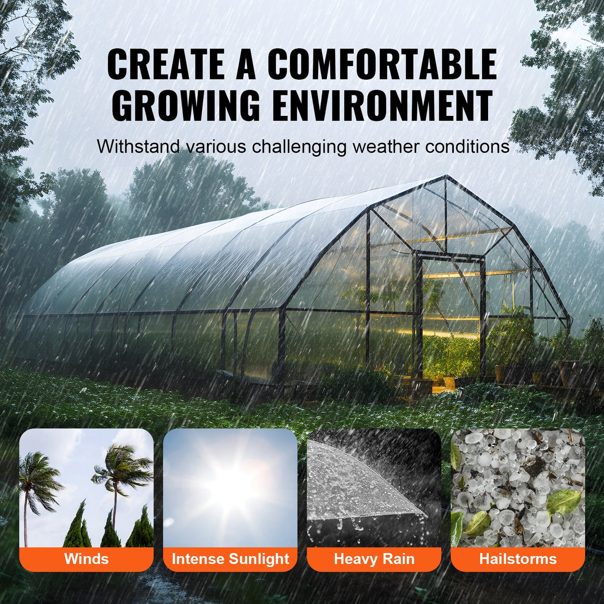 Greenhouse Plastic Sheeting 10 x 40 ft 6Mil Clear Polyethylene Film
