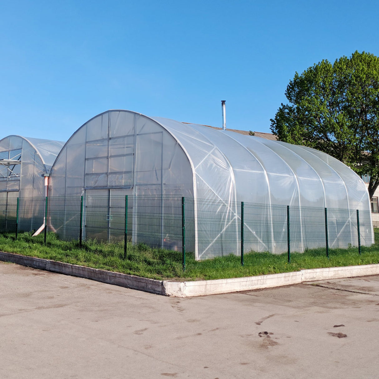 Greenhouse Plastic Sheeting 10 x 40 ft 6Mil Clear Polyethylene Film