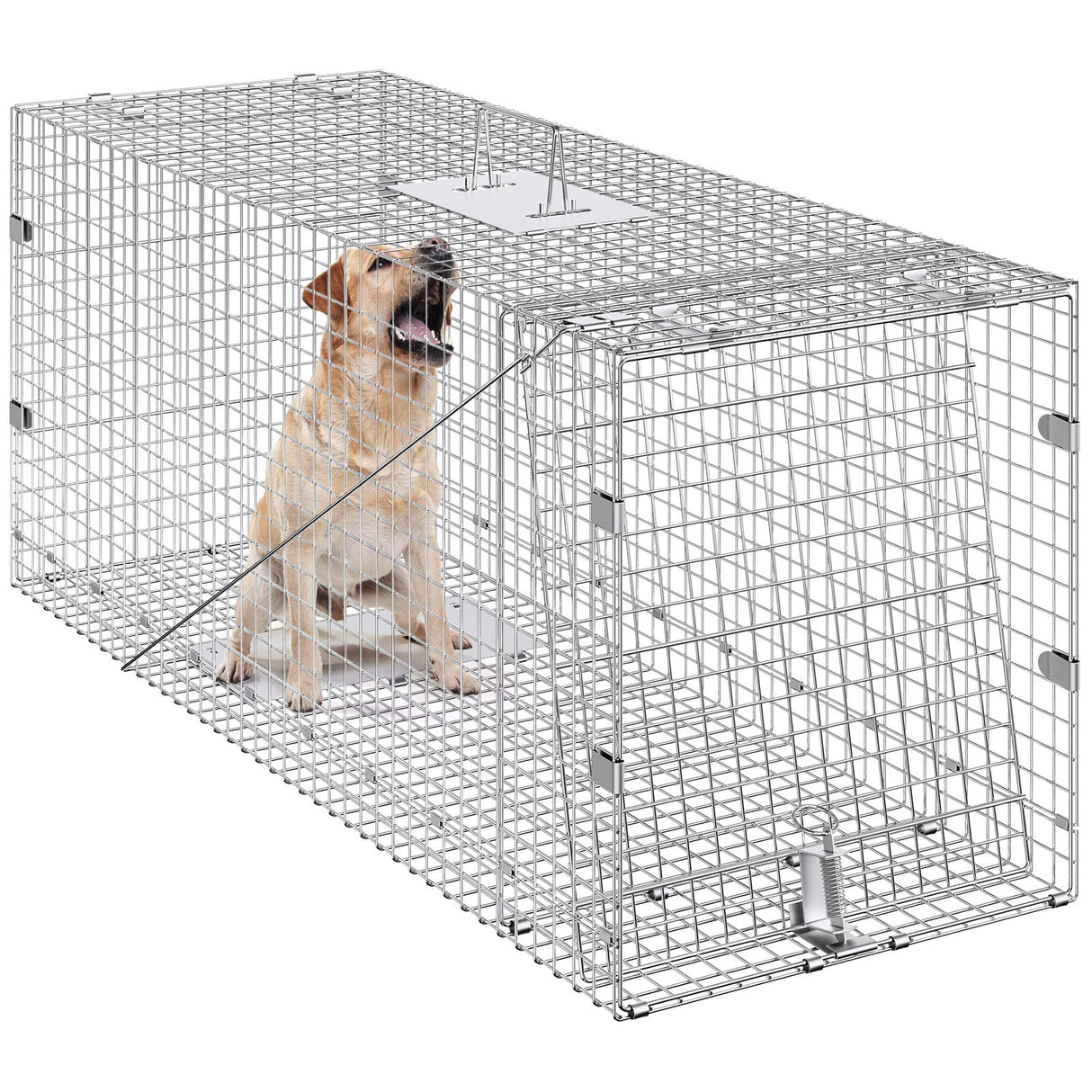 VEVOR Live Animal Cage Trap, 50" x 20" x 26" Humane Cat Trap Galvanized Iron, Folding Animal Trap with Handle for Stray Dogs, Armadillos, Raccoons,
