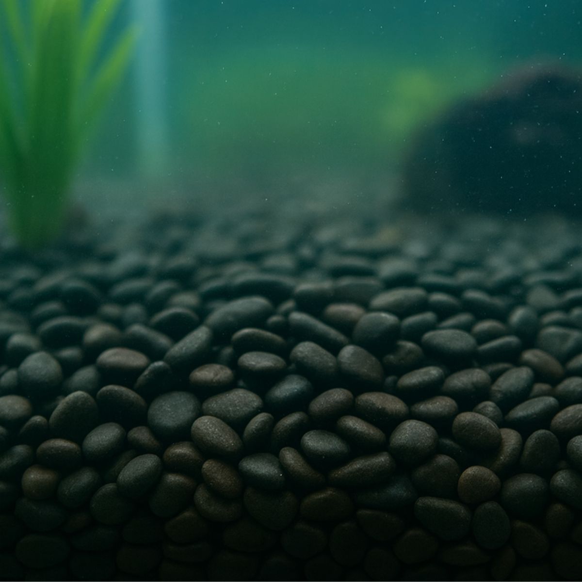 2x Showmaster 4-6mm Black Pebbles 5kg-2018816706734067713