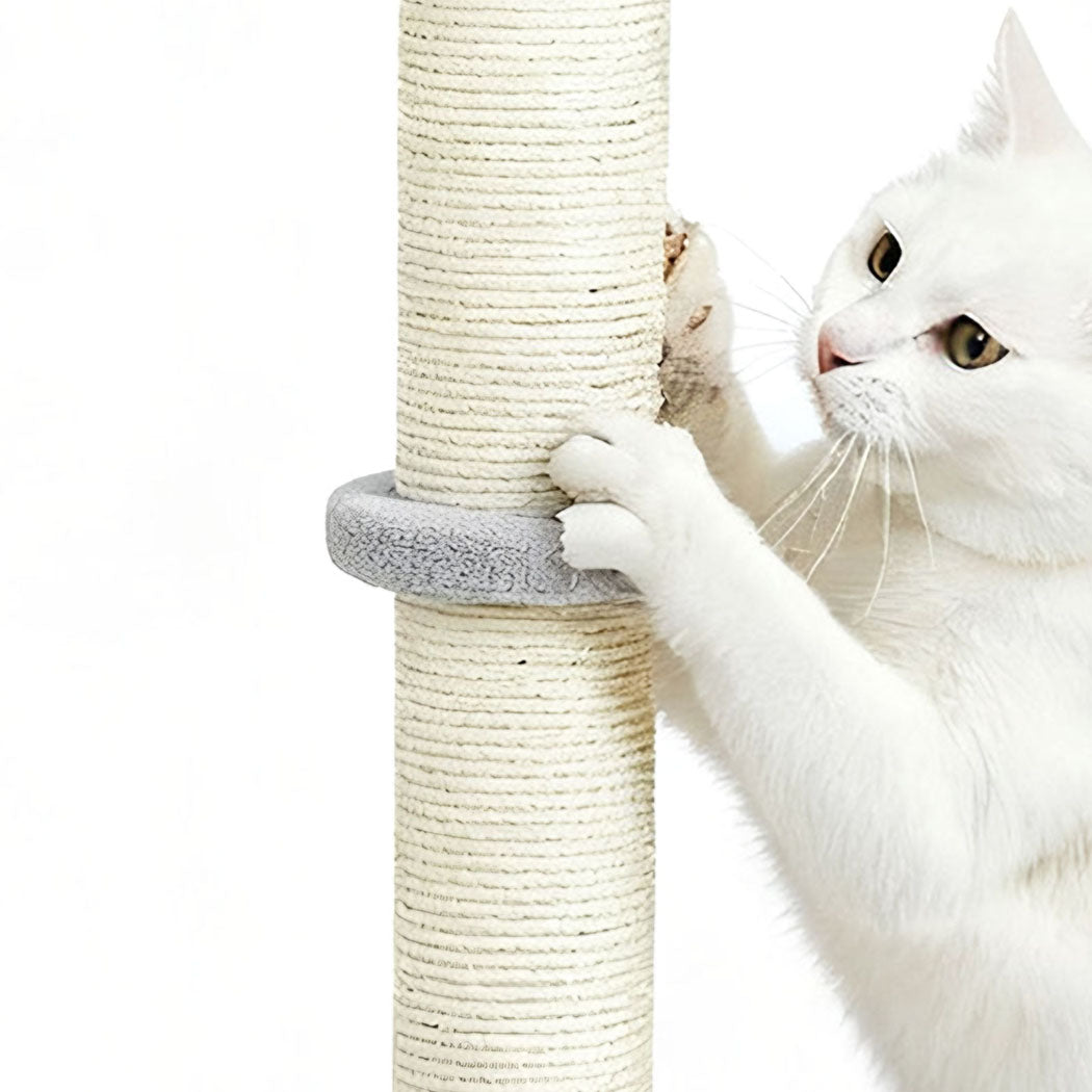 Pawz Cat Scratcher Scratching Post-2006732790871232516