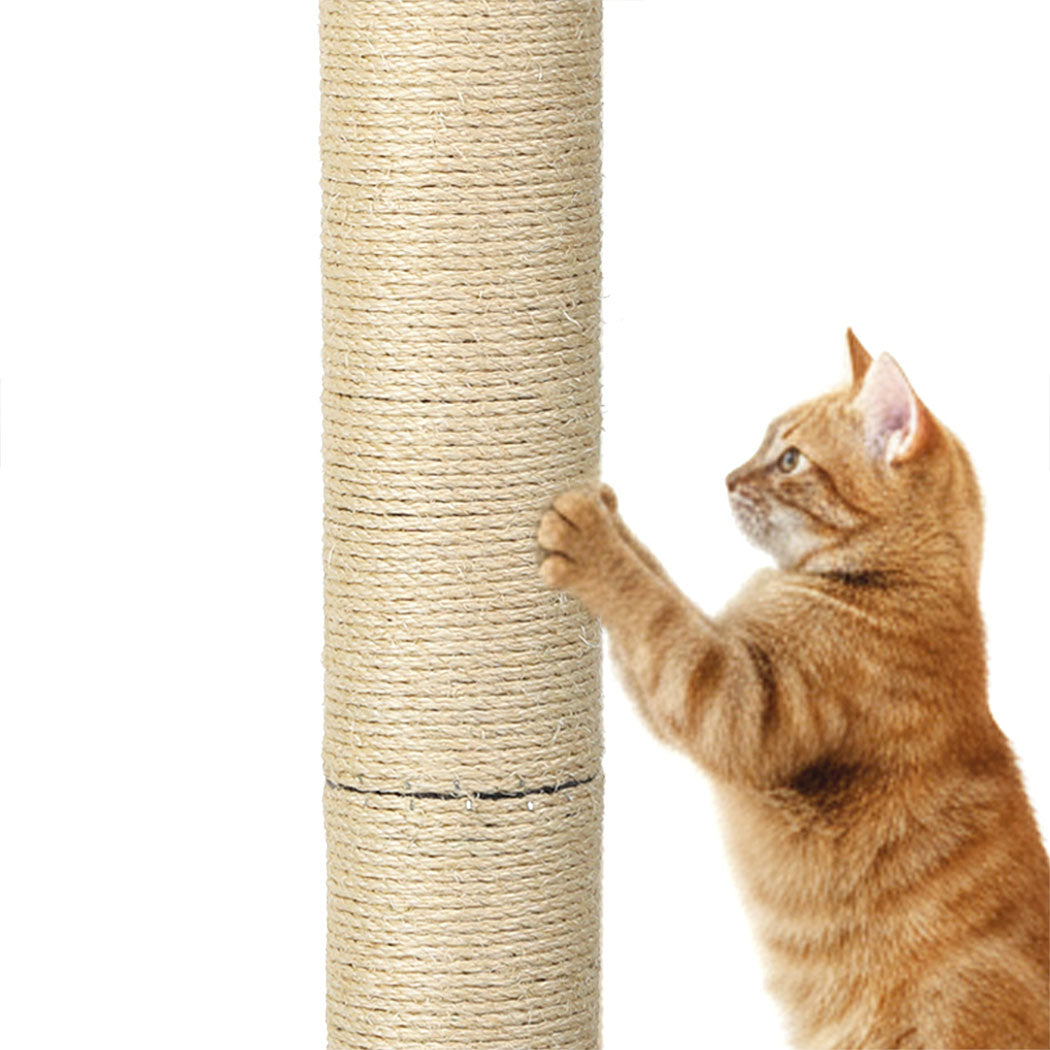 Pawz Cat Scratcher Scratching Post-2006732791076753412
