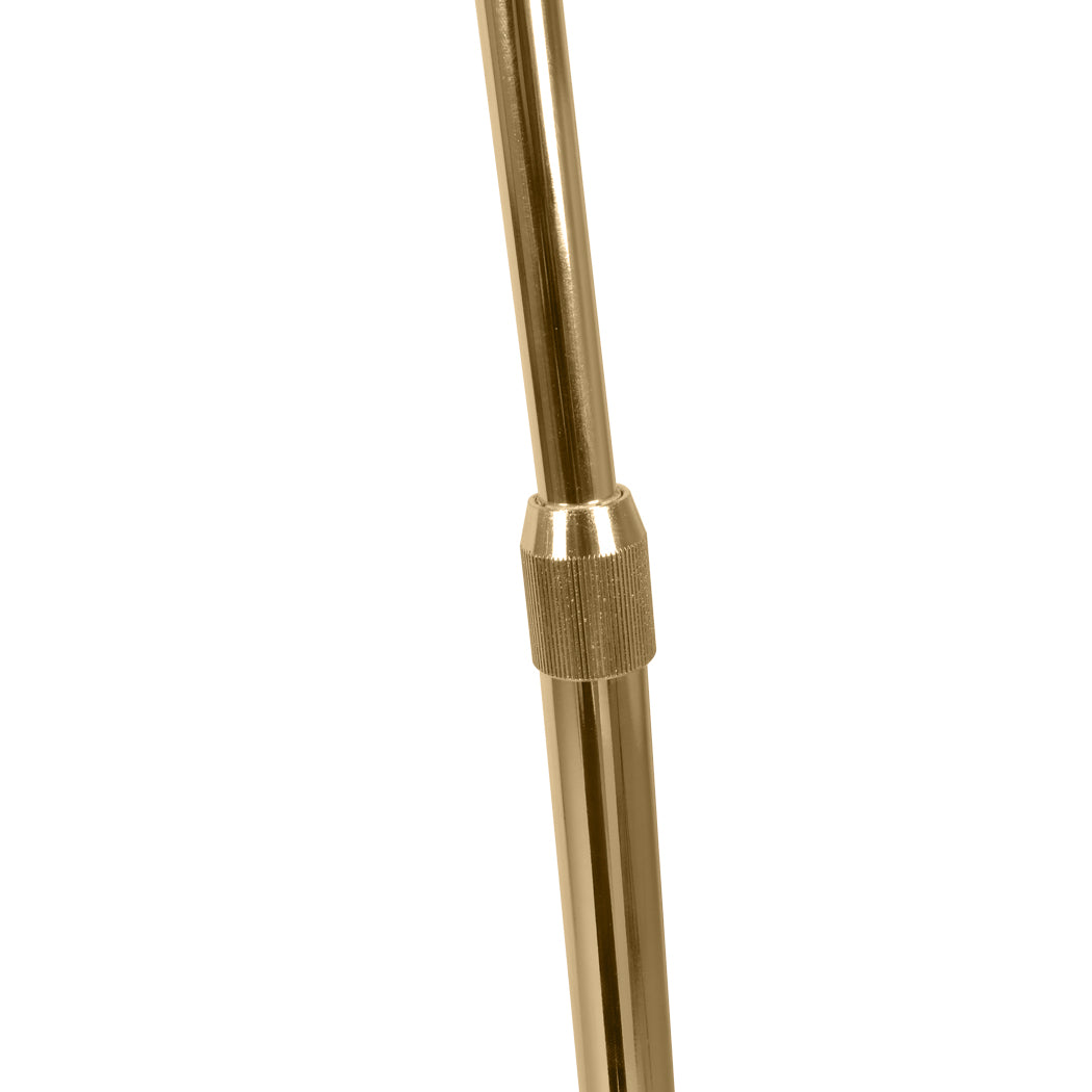 EMITTO Modern LED Floor Lamp Stand Reading Gold-2006733071726022660