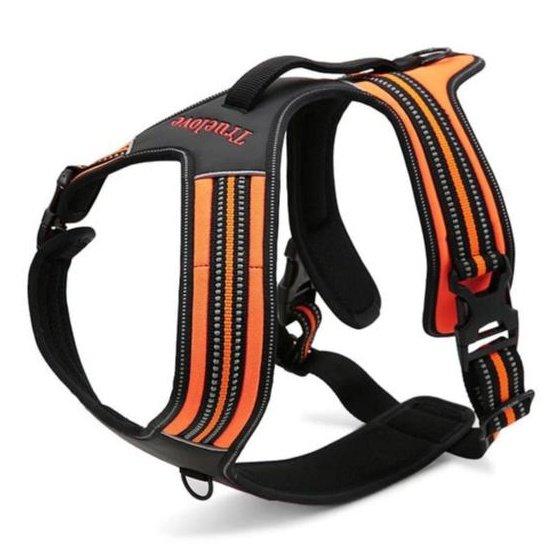 True Love Heavy Duty Sports Dog Harness - Orange, M-1831155628635197440