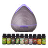 Purespa Diffuser Set With 10 Pack Oils Humidifier Aromatherapy Violet
