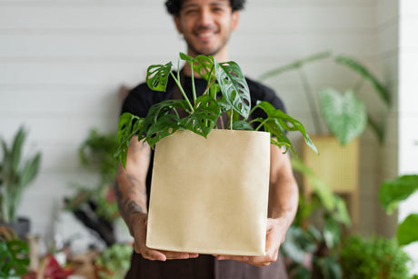 The Ultimate Guide to Choosing the Best Grow Bags 2025