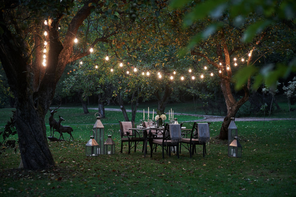 10 Best Other Outdoor Lights to Brighten Your Garden
