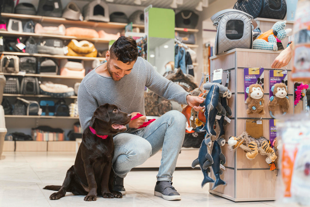 The Ultimate Guide to Choosing the Best Dog Supplies