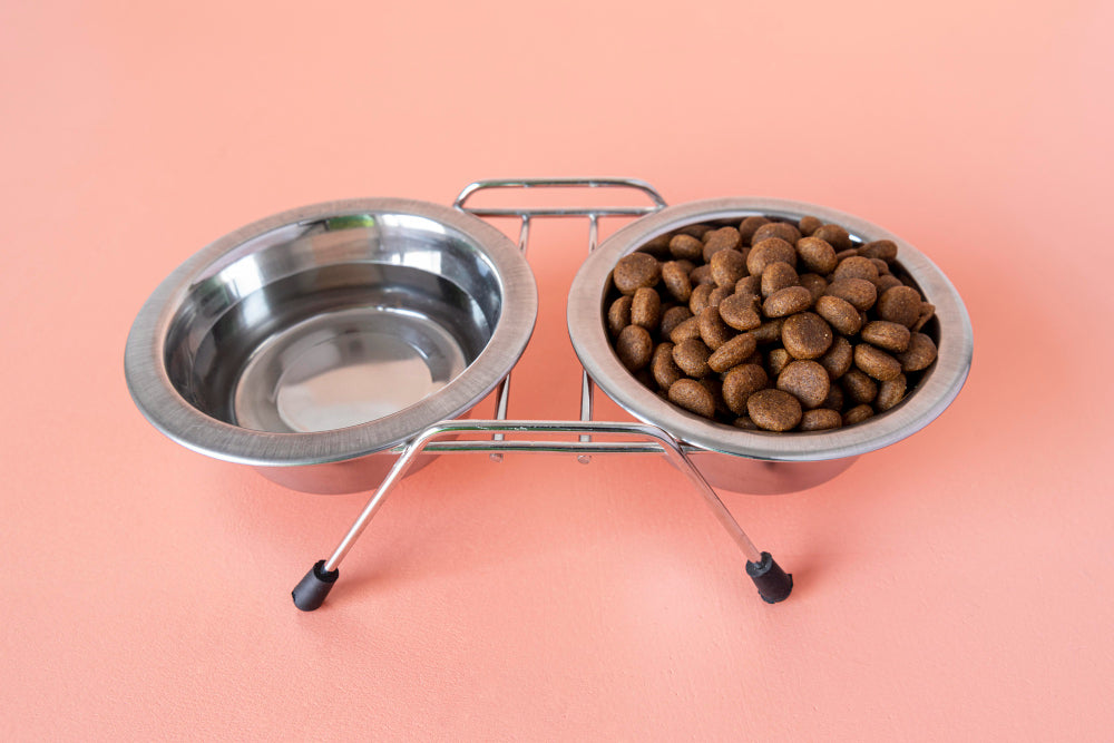 Easy-Clean Cat Bowls, Feeders & Waterers for Busy Owners