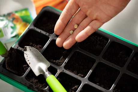 Fertilisers Explained: Maximise Your Plants' Potential