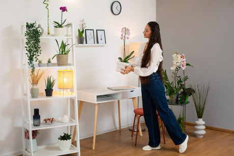 Furniture Styling Made Easy: Perfect Each Room Like a Pro