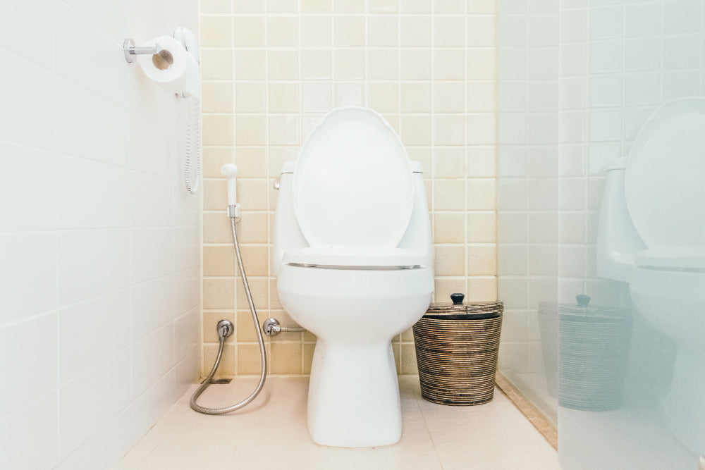 “Modern bathroom featuring a standalone bidet and toilet side by side, illustrating the bidet’s role in personal hygiene.”