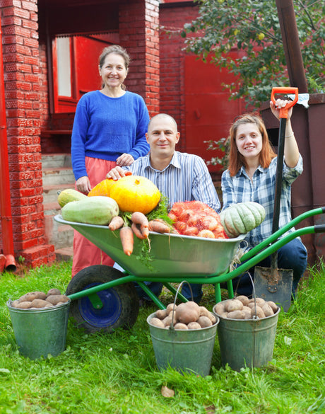 10 Essential Farm Supplies Every Farmer Needs for Success