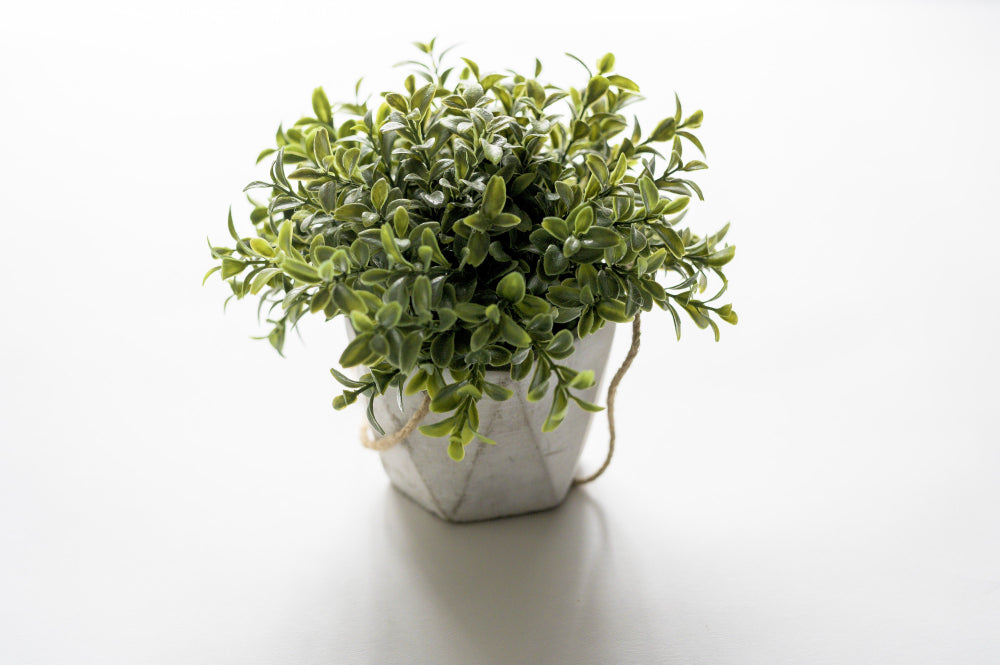 Artificial Potted Plants: Stylish Ideas for Every Room