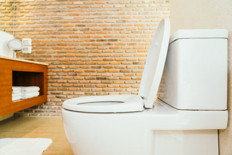 “Modern bathroom featuring a wall-mounted smart toilet with sleek design and minimalist decor — a 2025 toilet trend.”