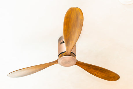 “Side-by-side comparison of DC and AC ceiling fans, highlighting differences in energy efficiency, motor type, and remote control features.”