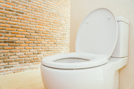 "Side-by-side one-piece and two-piece toilets, highlighting differences in design, installation, and maintenance."