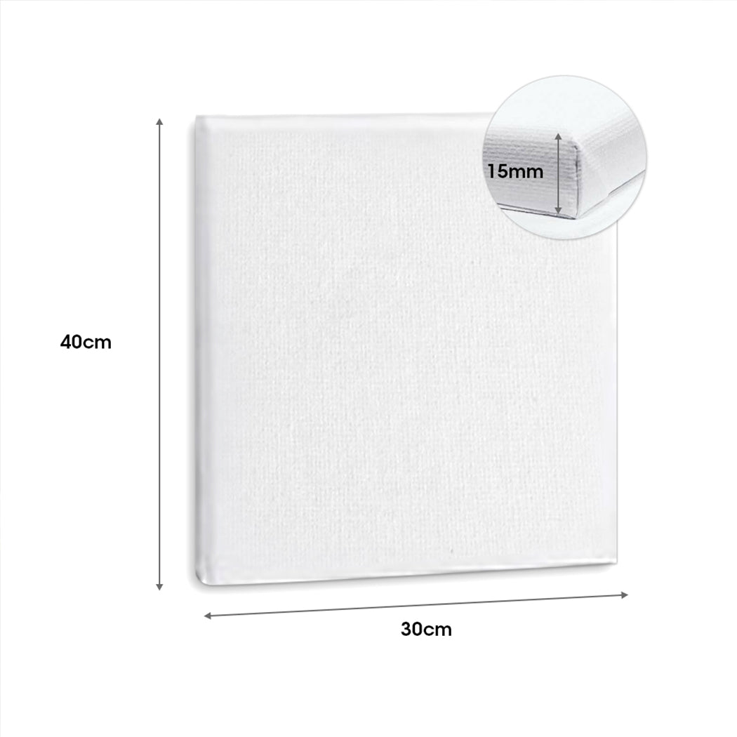 5x Artist Canvas Blank Stretched Canvases-2006733167846887426