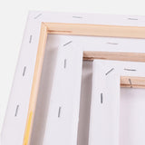 5x Artist Canvas Blank Stretched Canvases-2006733167846887427