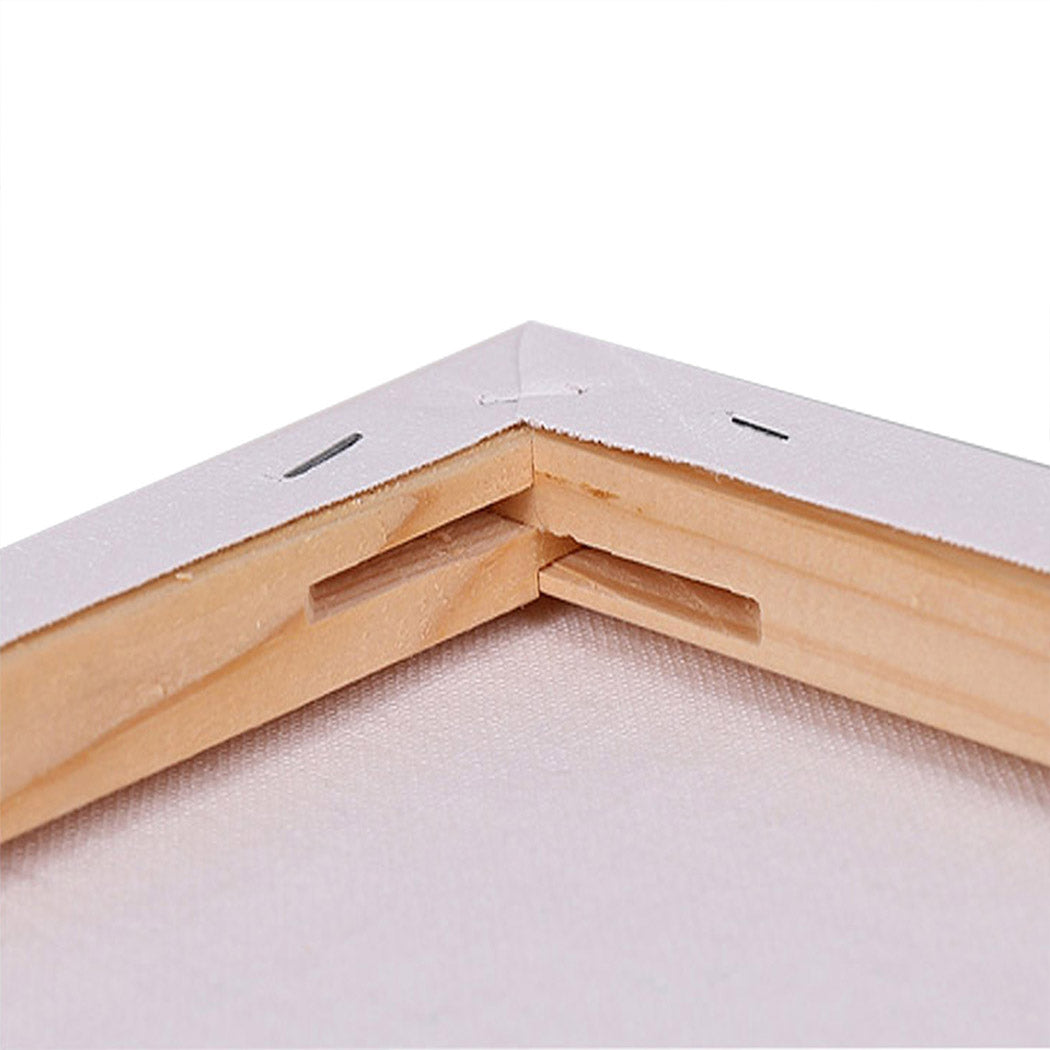 5x Artist Canvas Blank Stretched Canvases-2006733167846887428