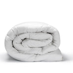 Casa Decor 360GSM Silk Touch Quilt - Single-1951134841101750278
