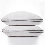 Casa Decor Silk Blend Pillow - Twin Pack-1951134818171490306