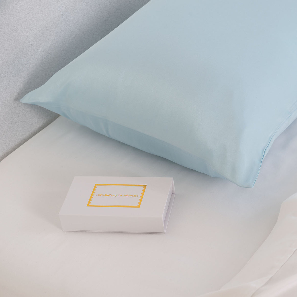 Pure Silk Pillow Case by Royal Comfort (Single Pack) - Soft Blue-1951134816229527554