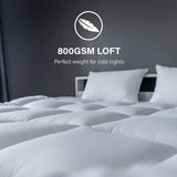 Royal Comfort 800GSM Silk Quilt - Single-1951134843563806724