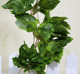 Ivy Garland Vines 260cm Each - 5 Per Pack - Front View