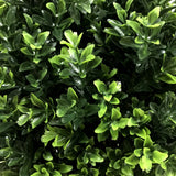 UV Resistant Artificial Topiary Shrub (Hedyotis) 50cm Mixed Green - Front View