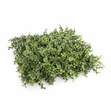 Deluxe Portable Buxus Hedges UV Stabilised 150cm Long X 150cm High - Front View